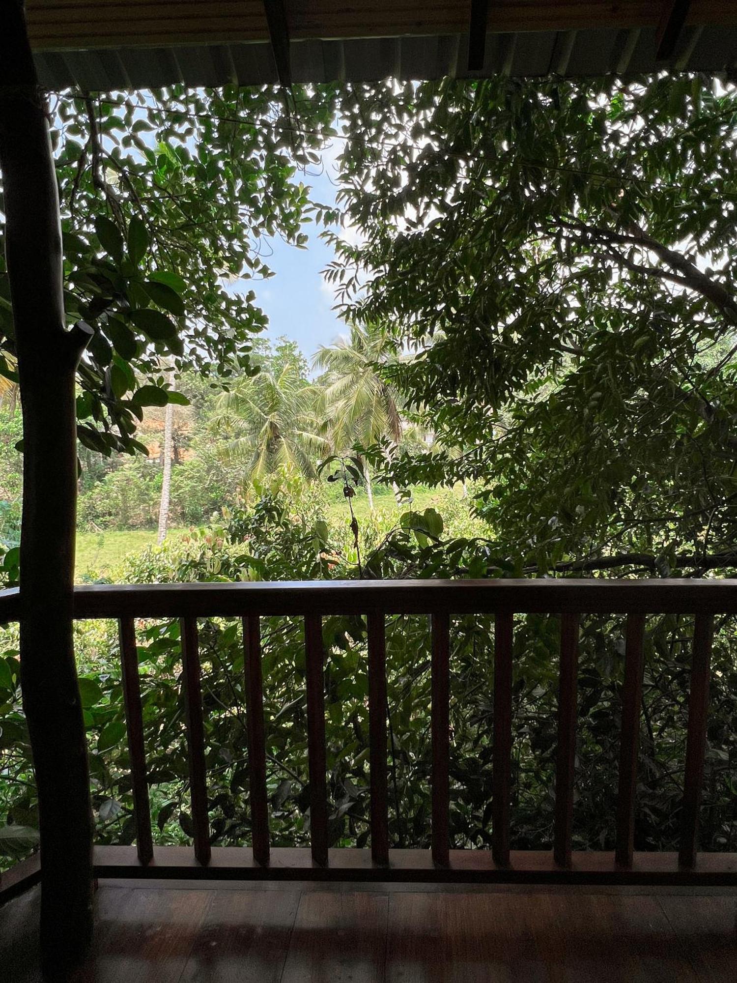 Cinnamon View Lodge Mirissa Phòng bức ảnh