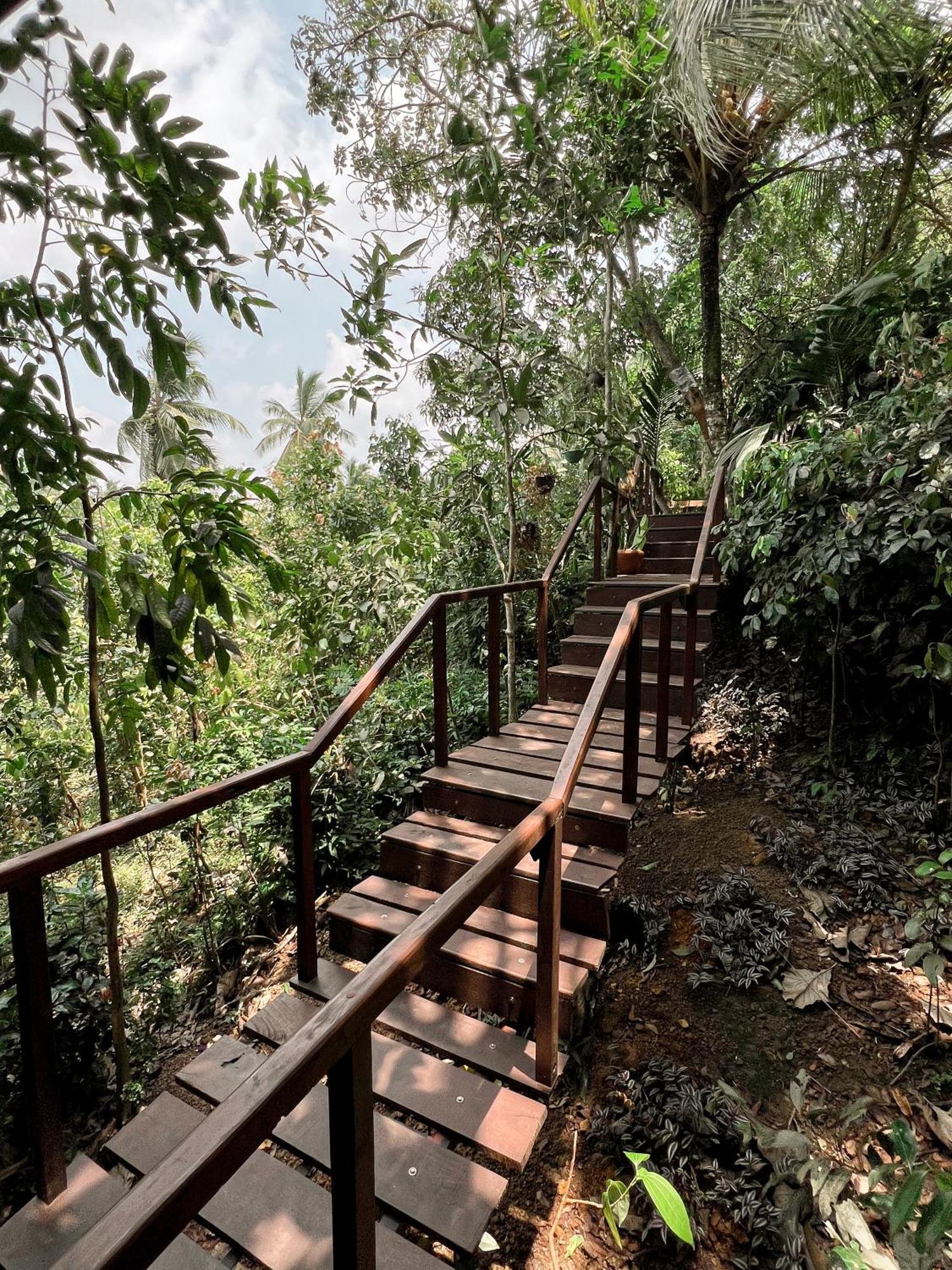 Cinnamon View Lodge Mirissa Phòng bức ảnh